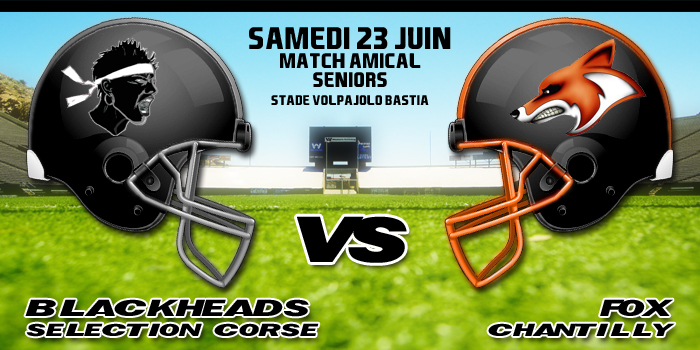 Black Heads vs Fox de Chantilly